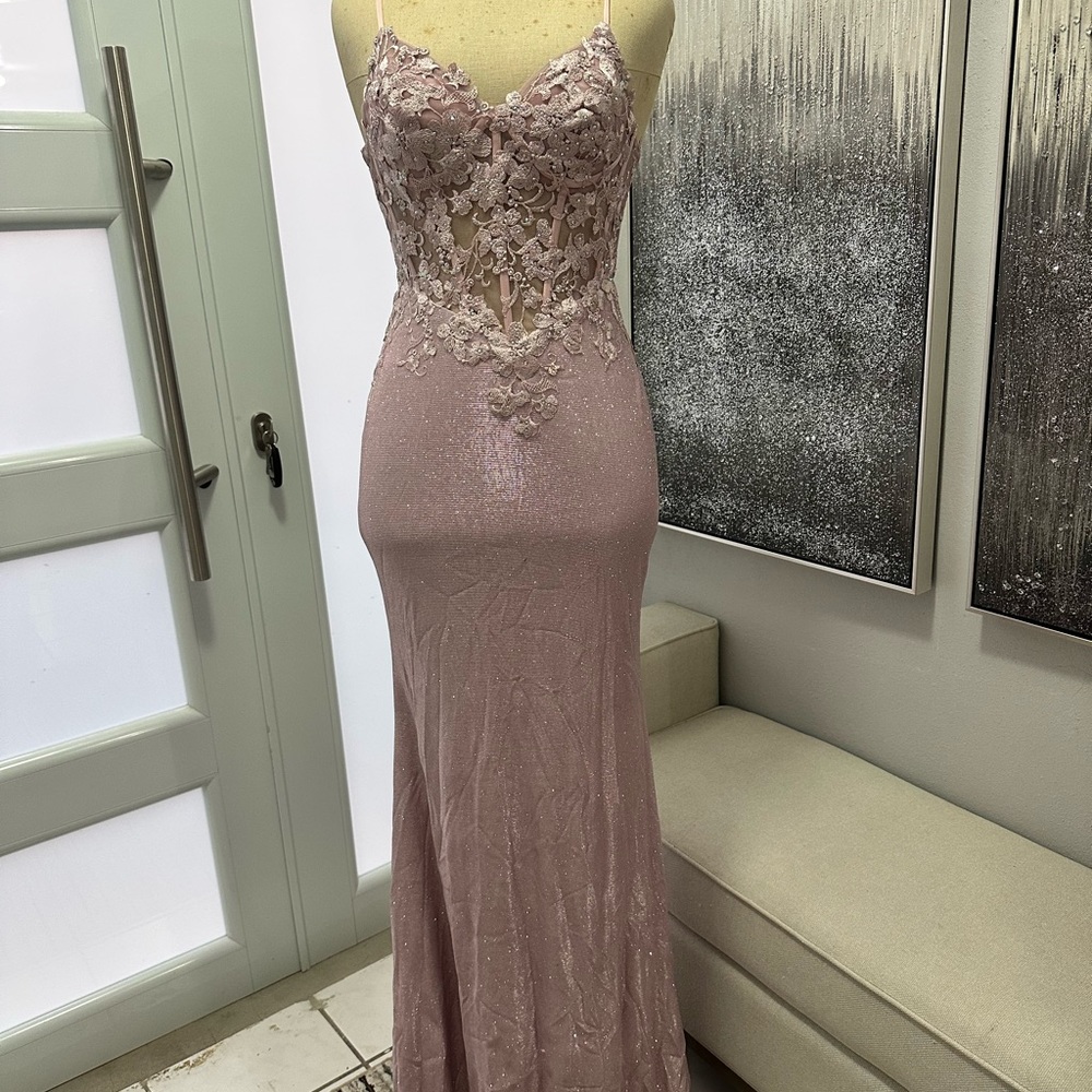 2x$70- Elegant Blush Lace Appliqué Evening Gown